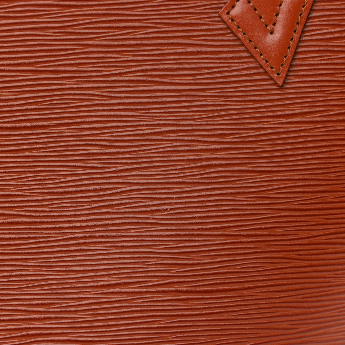 Epi Saint Jacques PM Fawn