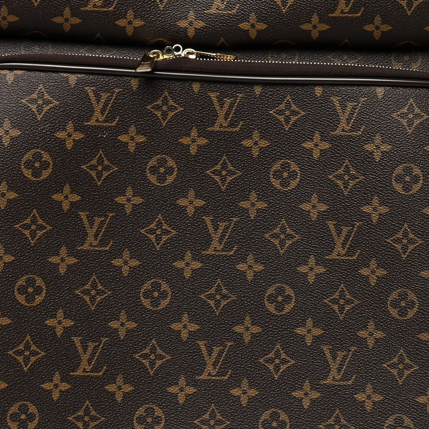 Monogram Pegase 55 Business