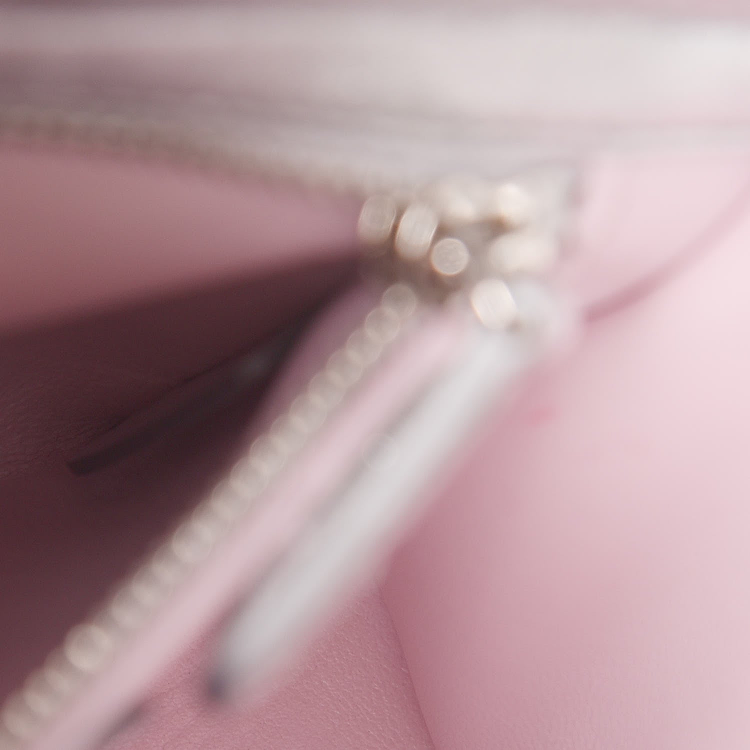 Christian Dior Metallic Lizard Mini Lady Dior Silver 9 of 13