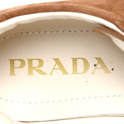 Prada Suede Logo Womens Low Top Sneakers 36.5 Cocoa Brown 9 of 10