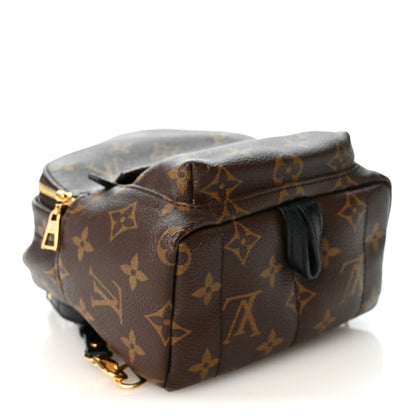 Louis Vuitton Monogram Palm Springs Backpack Mini 7 of 19