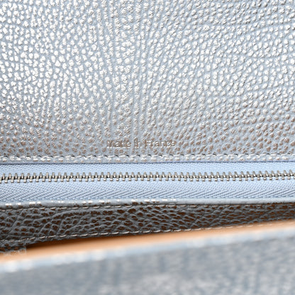 Delvaux Metallic Crispy Calfskin Metal Glam MM Tempete Satchel Flashlight 6 of 11