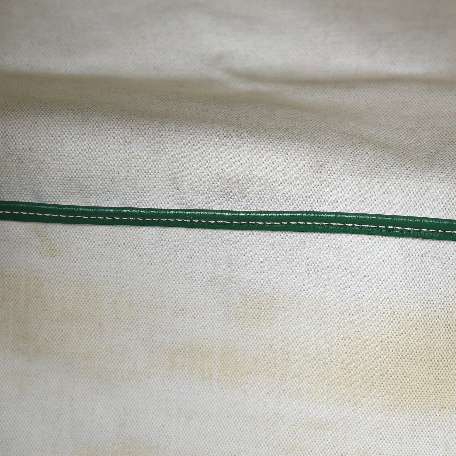 Goyard Goyardine Saint Louis PM Green 15 of 17