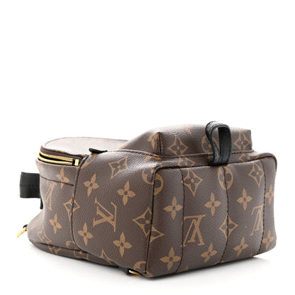 Louis Vuitton Monogram Palm Springs Backpack Mini 4 of 12