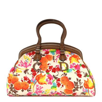 Christian Dior Canvas Floral Frame Satchel 1 of 12
