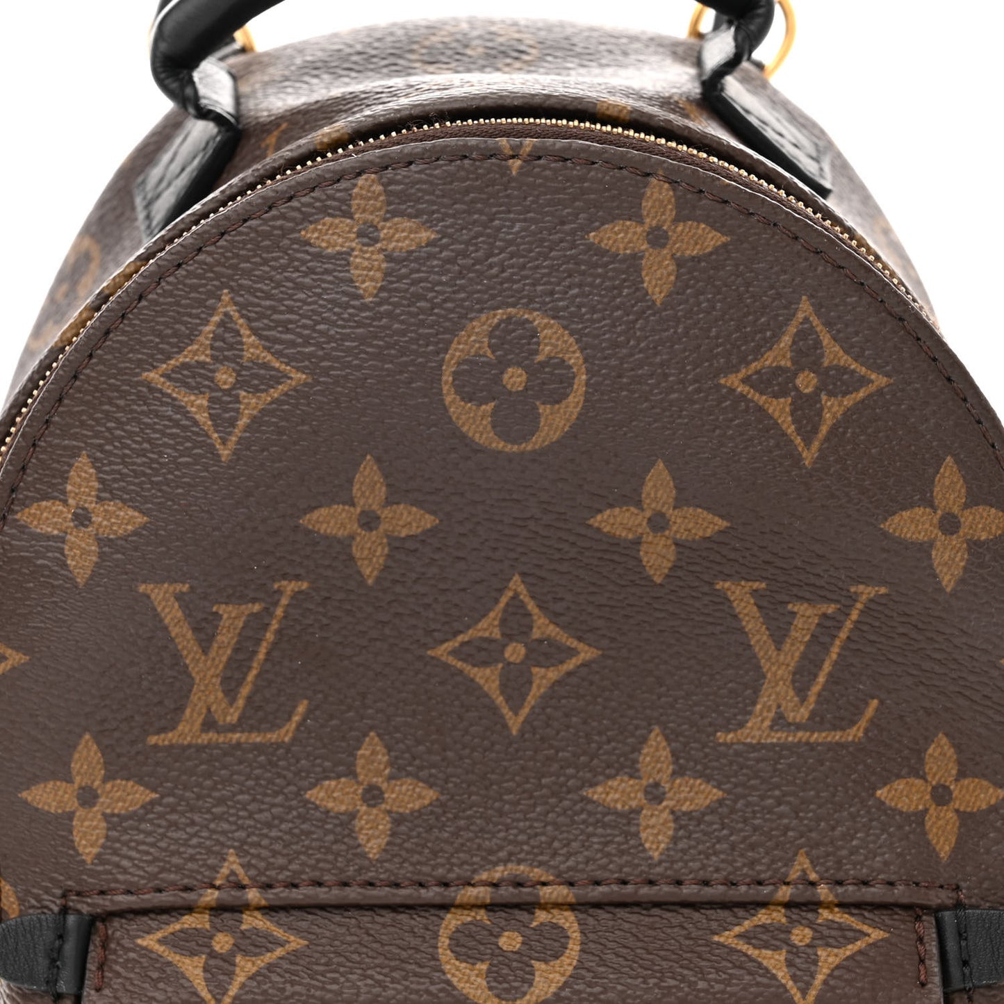 Monogram Palm Springs Backpack Mini