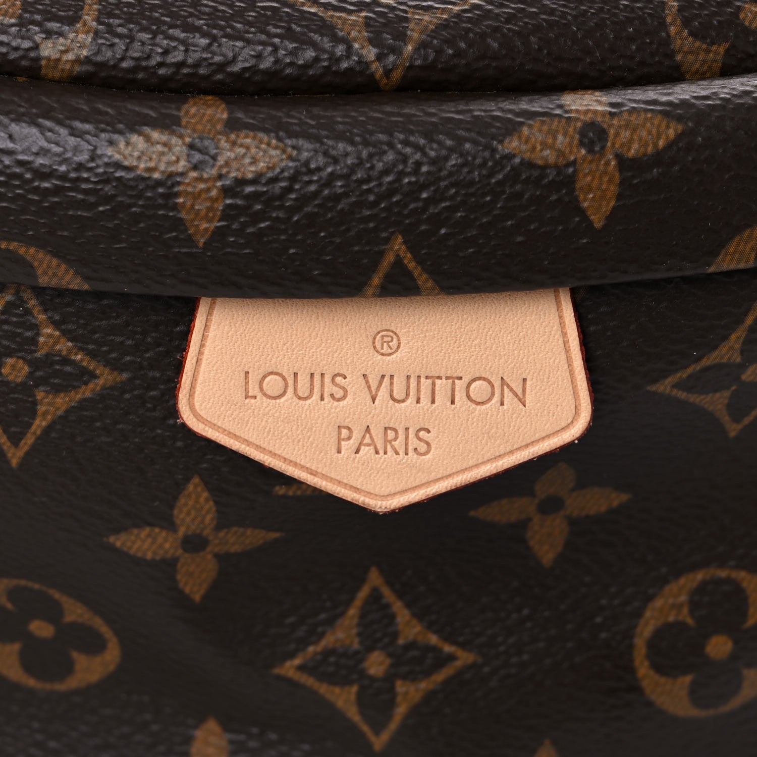 Louis Vuitton Monogram Bumbag 10 of 13