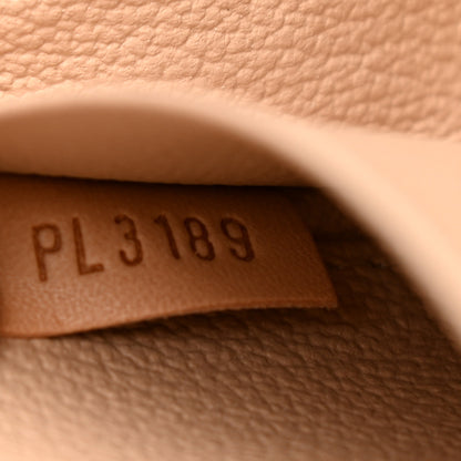 Louis Vuitton Monogram Nice Mini 11 of 12