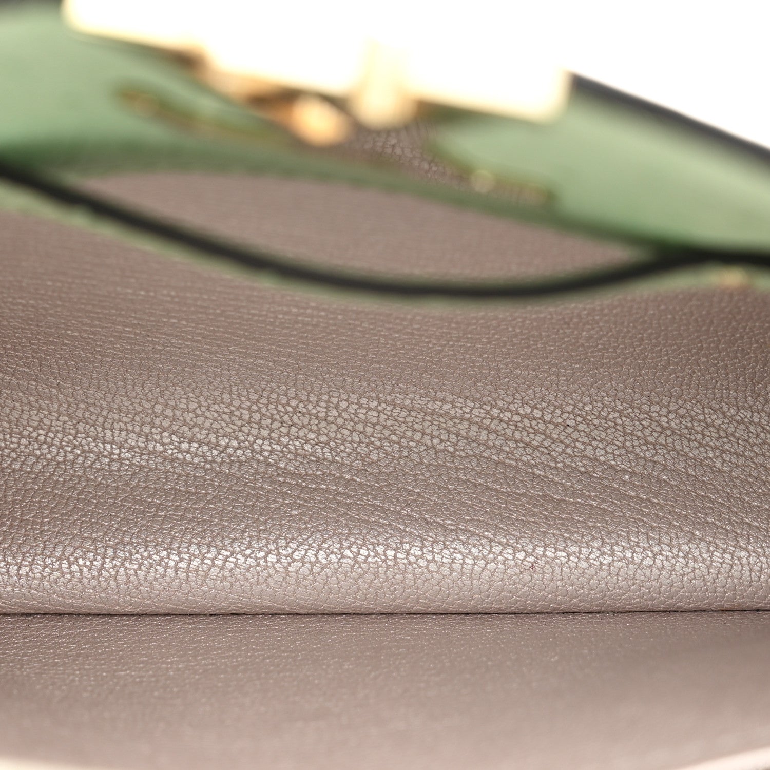 Louis Vuitton Ostrich Capucines Mini Vert Celadon 5 of 11