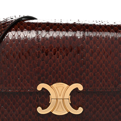 Celine Watersnake Teen Triomphe Brown 8 of 12