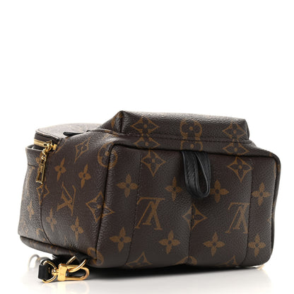 Louis Vuitton Monogram Palm Springs Backpack Mini 4 of 10