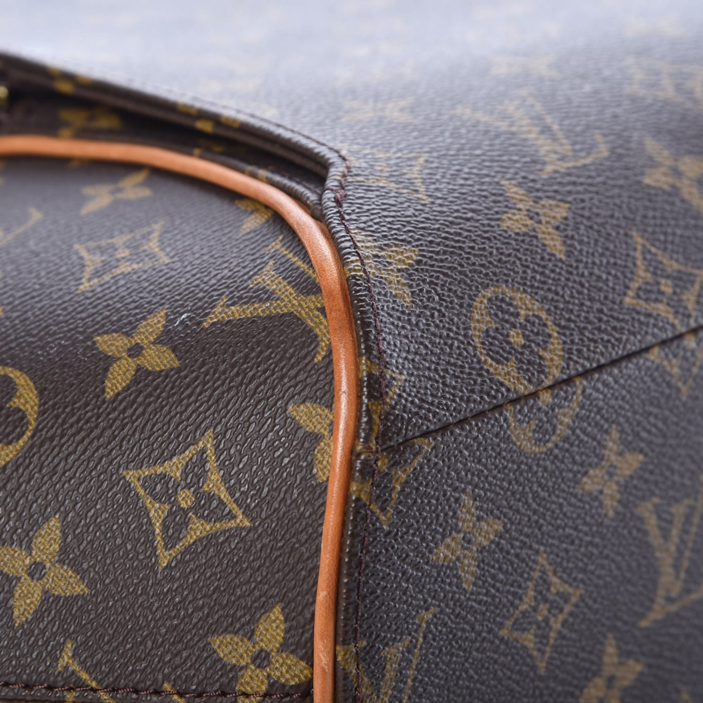 Monogram Ellipse GM Shopping Bag