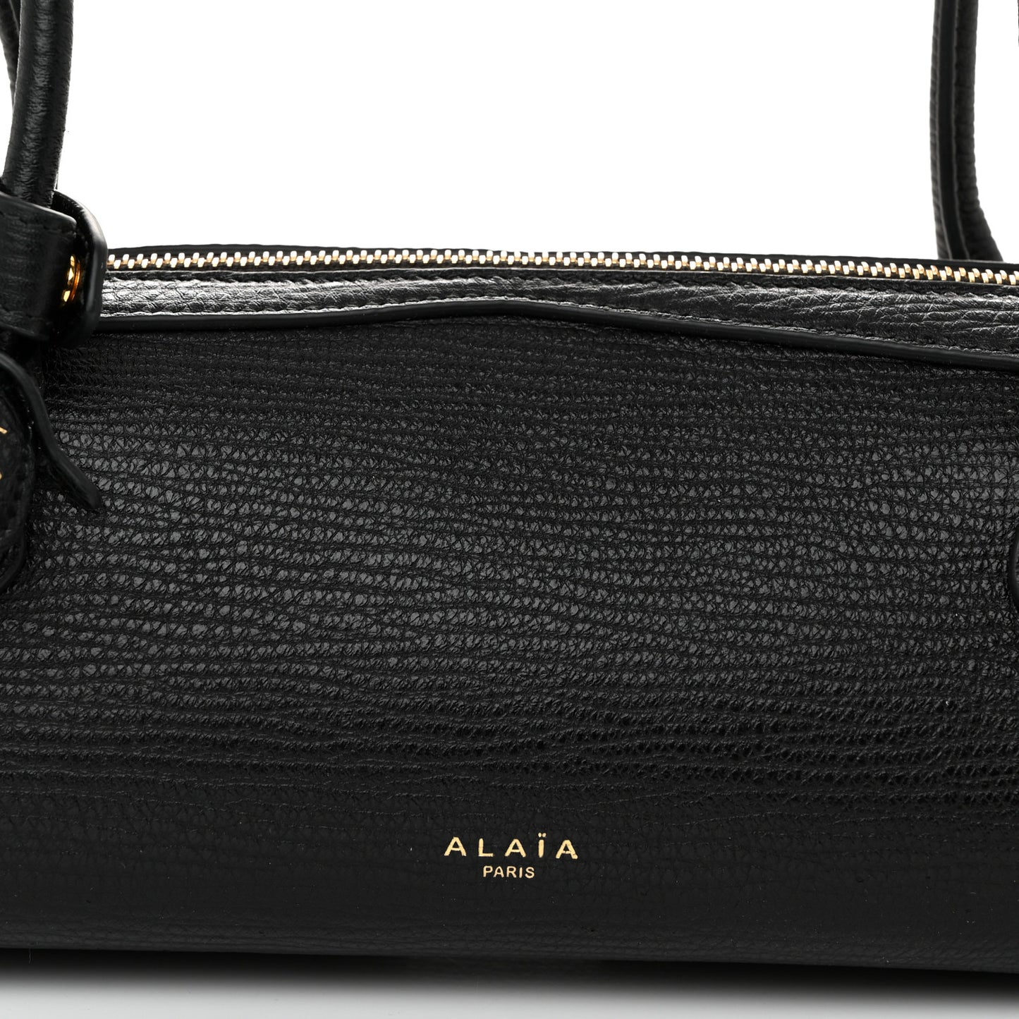 Goatskin Medium Le Teckel Bag Black