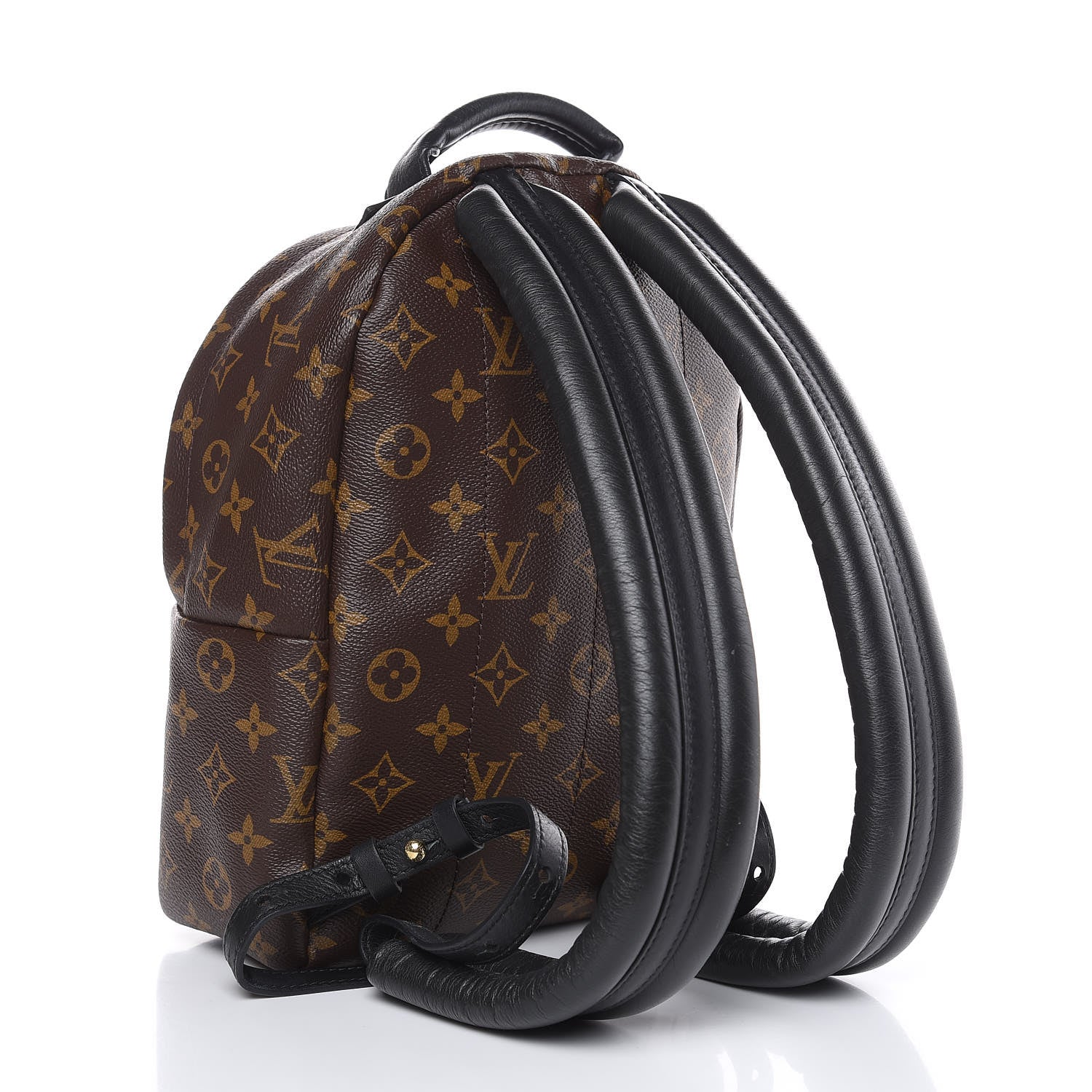 Louis Vuitton Monogram Palm Springs Backpack PM 3 of 9
