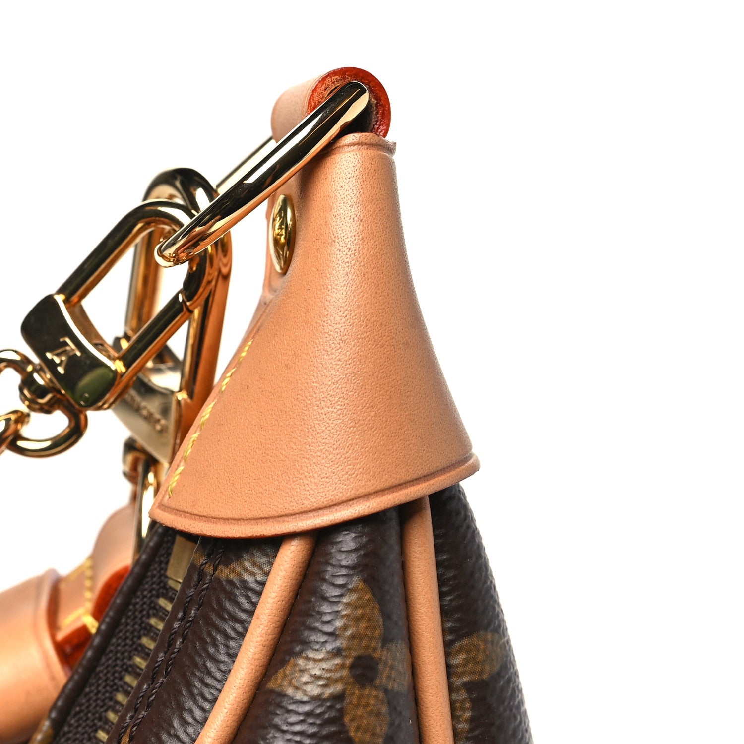 Louis Vuitton Monogram Loop 11 of 11