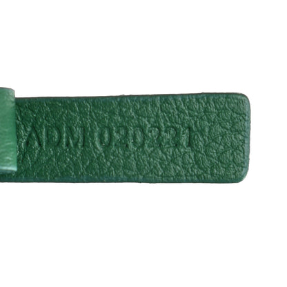 Goyard Goyardine Saint Louis PM Green 7 of 10