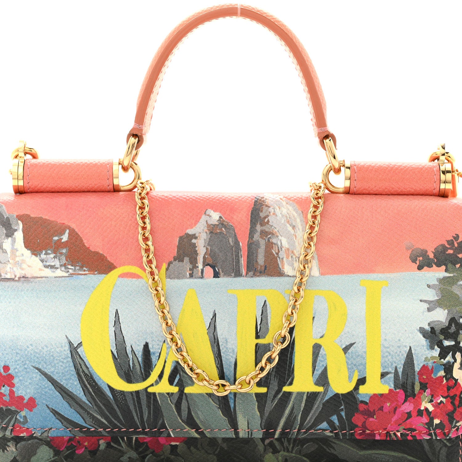 Dolce & Gabbana Dauphine Capri Printed Mini Von Bag Multicolor 8 of 14