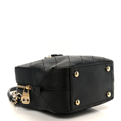 Chanel Calfskin Stitched Covered CC Camera Case Bag Black 4 of 10