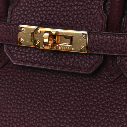 Hermes Togo Birkin 25 Bordeaux 12 of 12