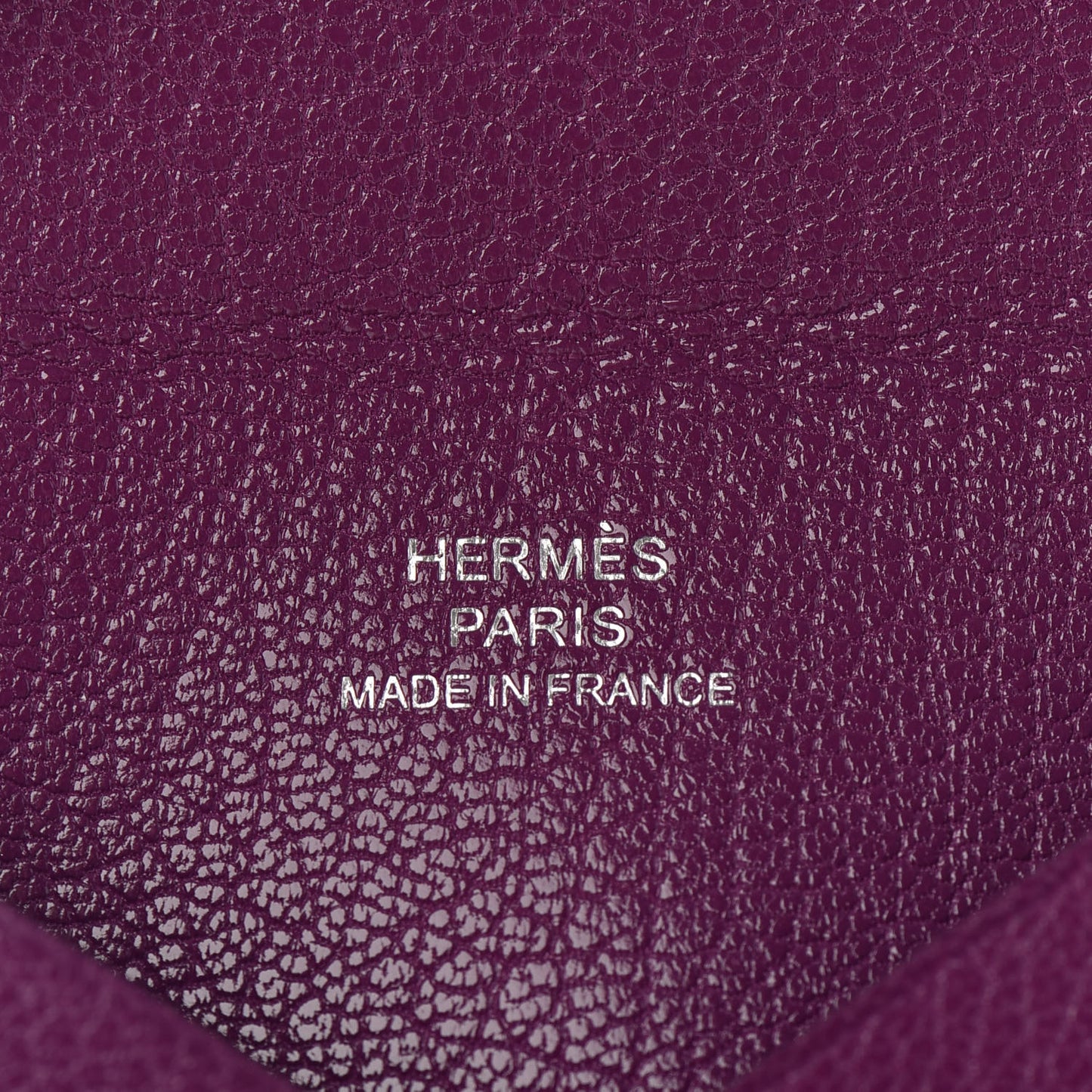 Chevre Chamkila Calvi Card Case Anemone
