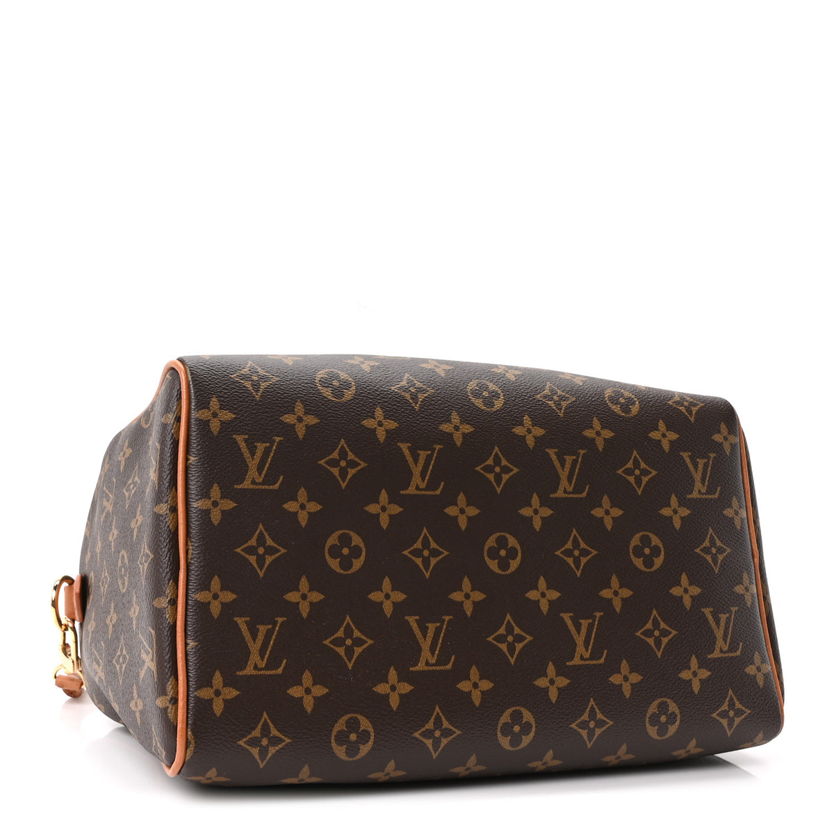 Monogram Speedy Soft 30 Boho