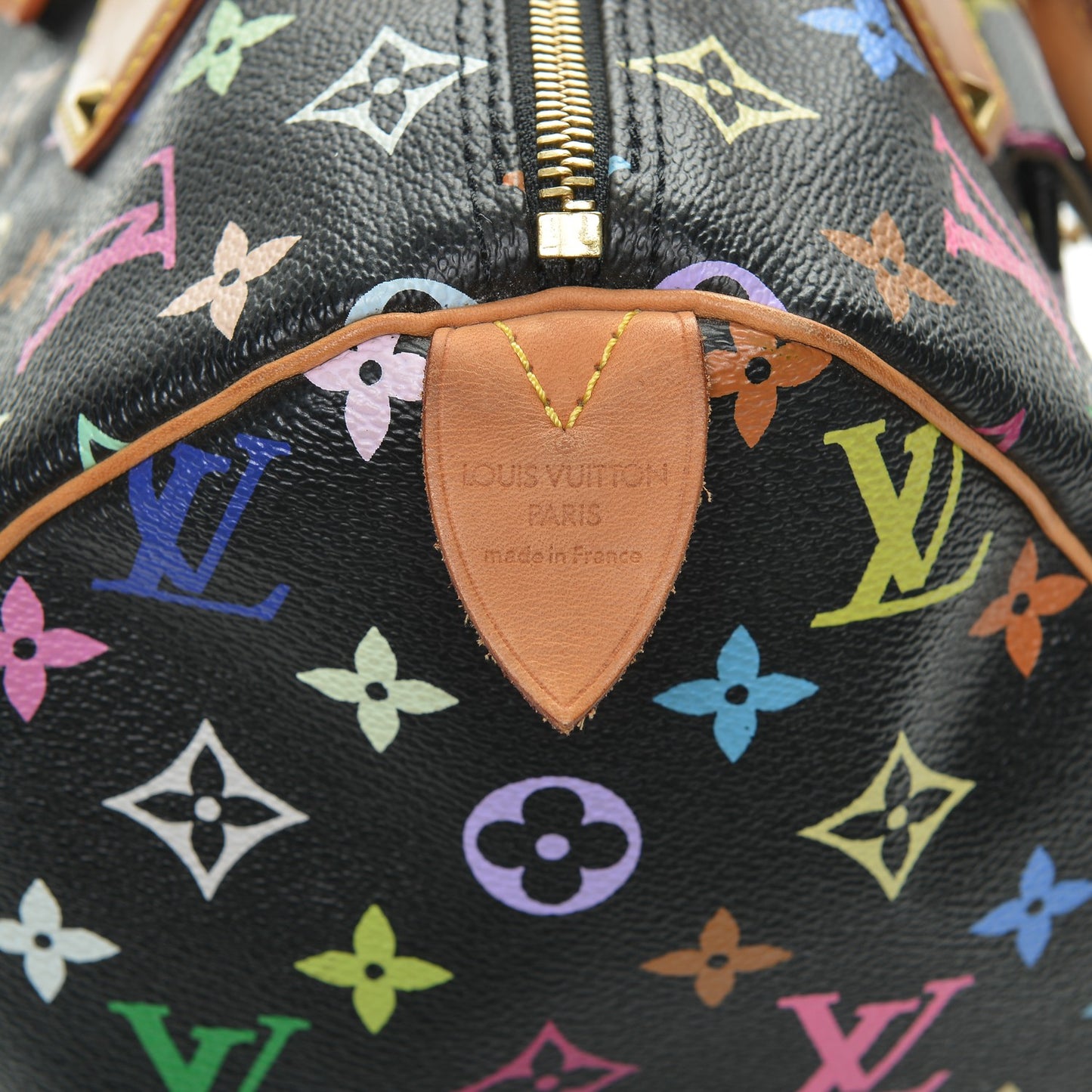 Monogram Multicolor Speedy 30 Black