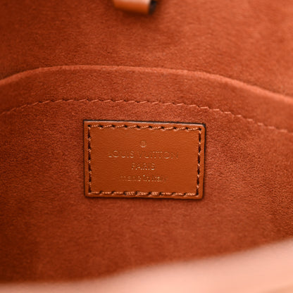 Louis Vuitton Kitted Raffia Petit Bucket Caramel 6 of 9