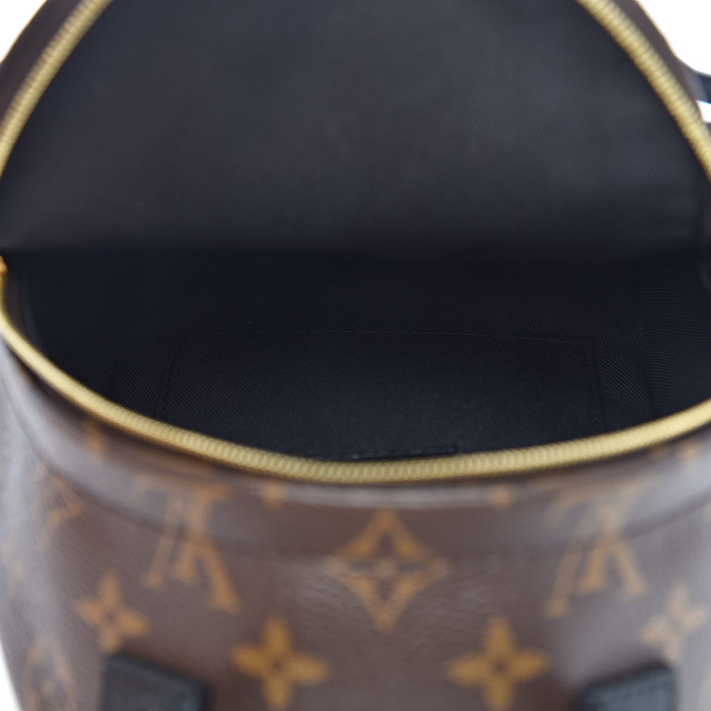 Monogram Palm Springs Backpack Mini