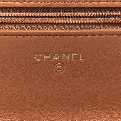 Chanel Lambskin Quilted Chanel 19 Wallet On Chain WOC Brown 6 of 12