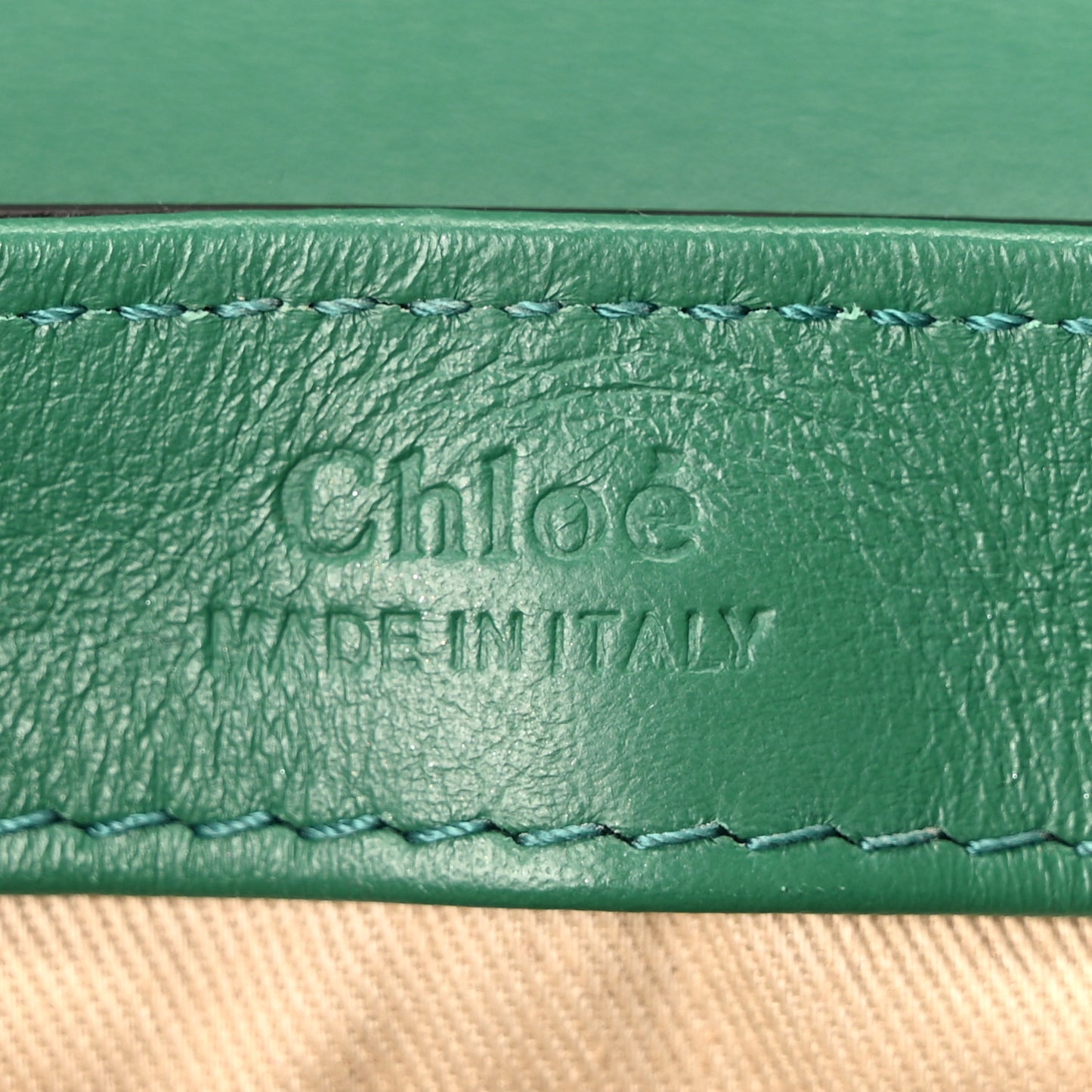 Calfskin Crocodile Embossed Mini C Double Carry Woodsy Green