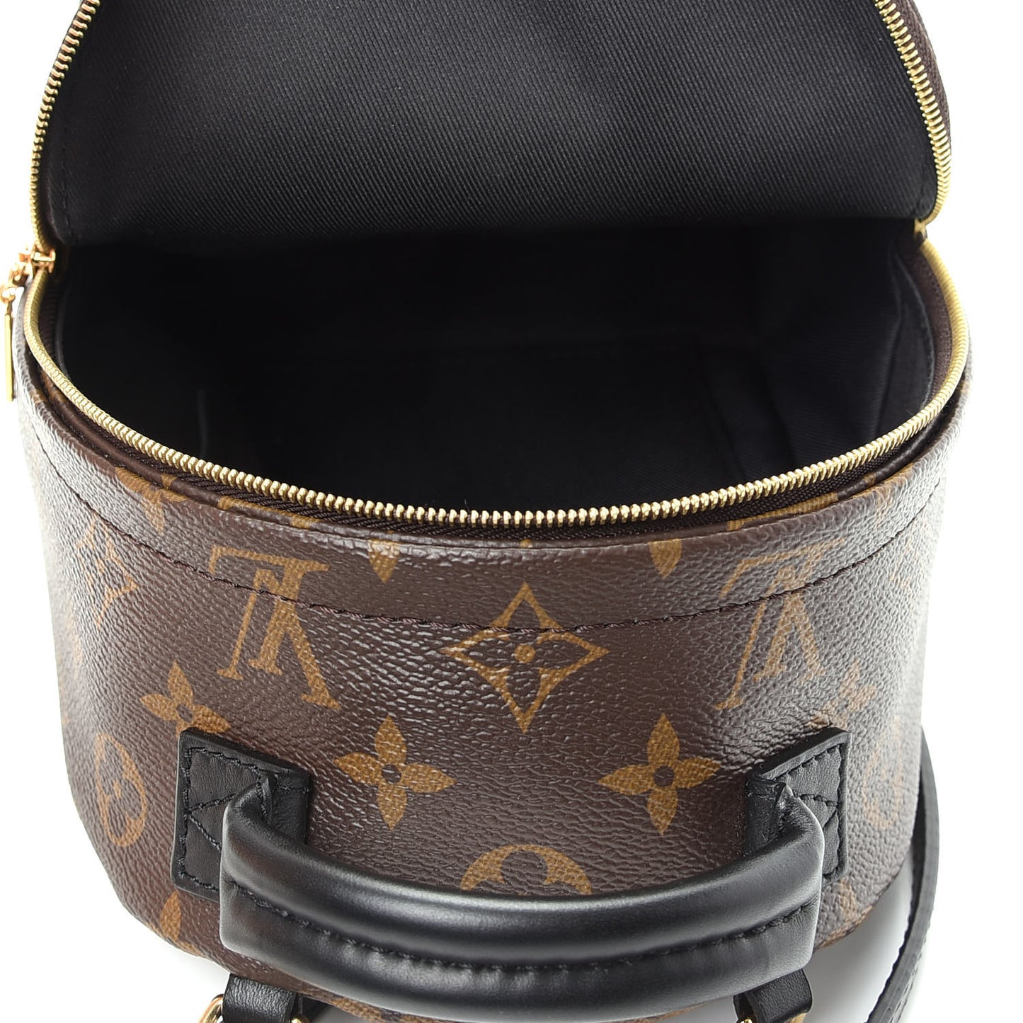 Monogram Palm Springs Backpack Mini