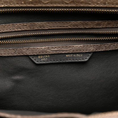 Celine Snakeskin Mini Luggage Grey 6 of 19