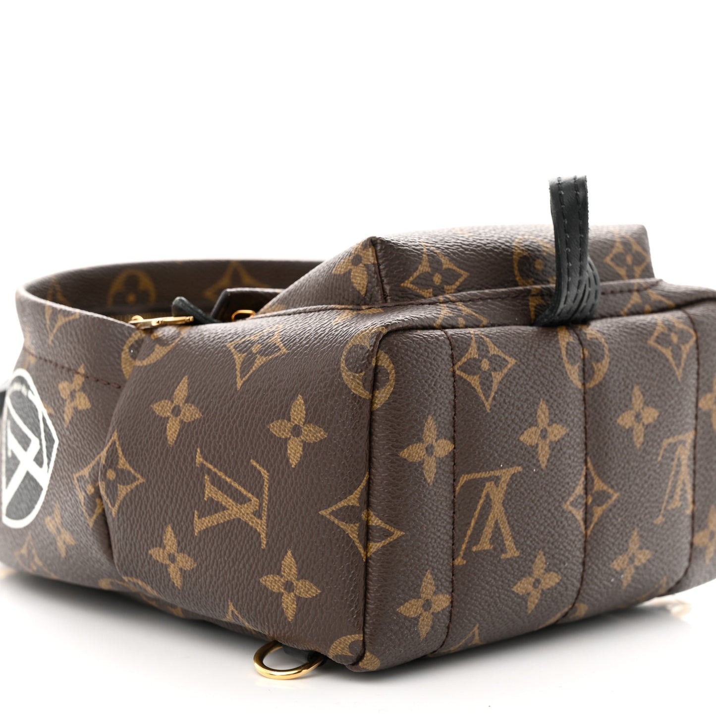 Monogram World Tour Palm Springs Backpack Mini
