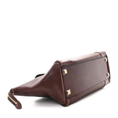 Celine Supple Shiny Lambskin Medium New Luggage Brick 4 of 11