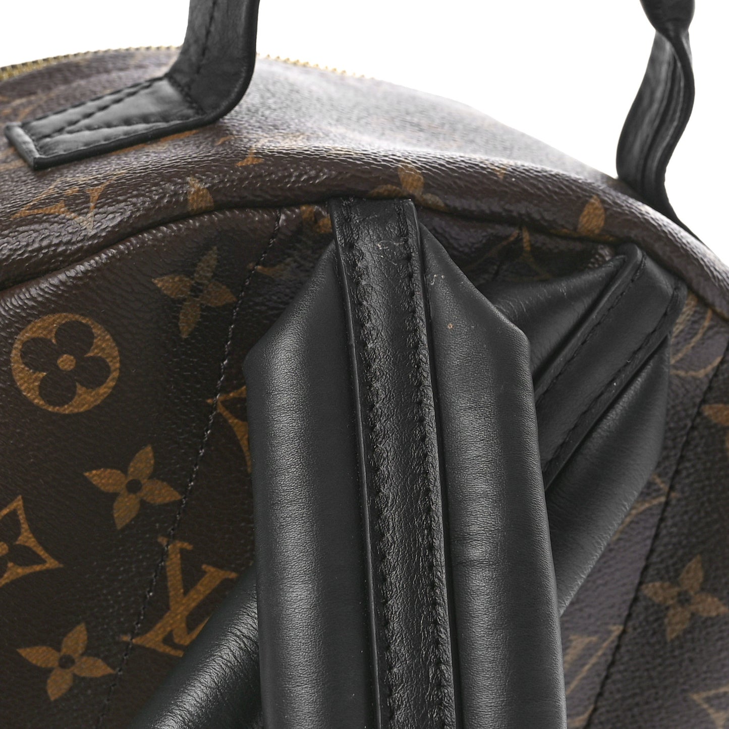 Monogram Palm Springs Backpack MM