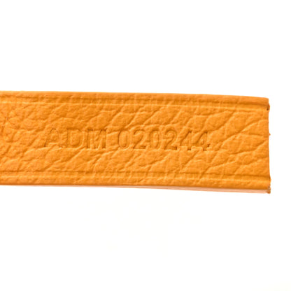 Goyard Goyardine Saint Louis PM Yellow 8 of 13