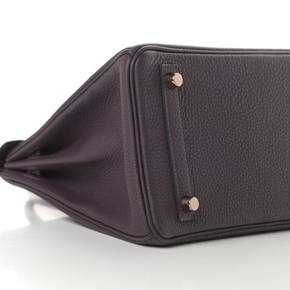 Hermes Togo Matte Alligator Birkin Touch 25 Raisin 9 of 11