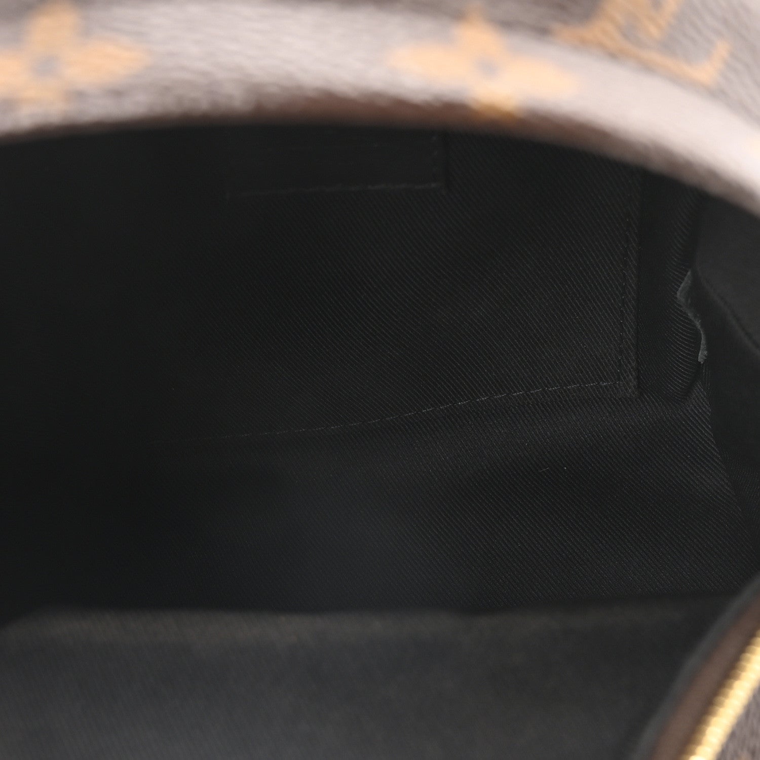 Louis Vuitton Monogram Palm Springs Backpack Mini 5 of 11