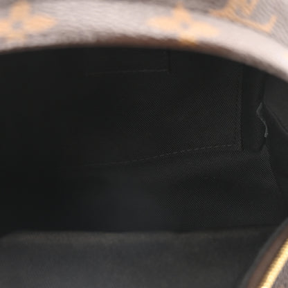 Louis Vuitton Monogram Palm Springs Backpack Mini 5 of 11