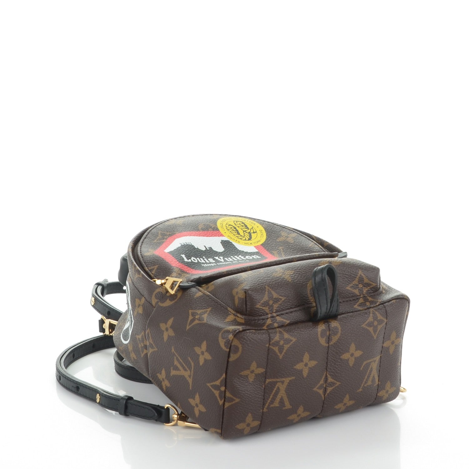 Louis Vuitton Monogram World Tour Palm Springs Backpack Mini 4 of 7