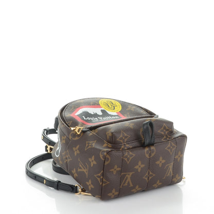 Louis Vuitton Monogram World Tour Palm Springs Backpack Mini 4 of 7