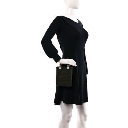 Fendi Technical Fabric Vitello Ceylon Plexiglass FF Mini Fendi Sunshine Shopper Tote Wood 2 of 9
