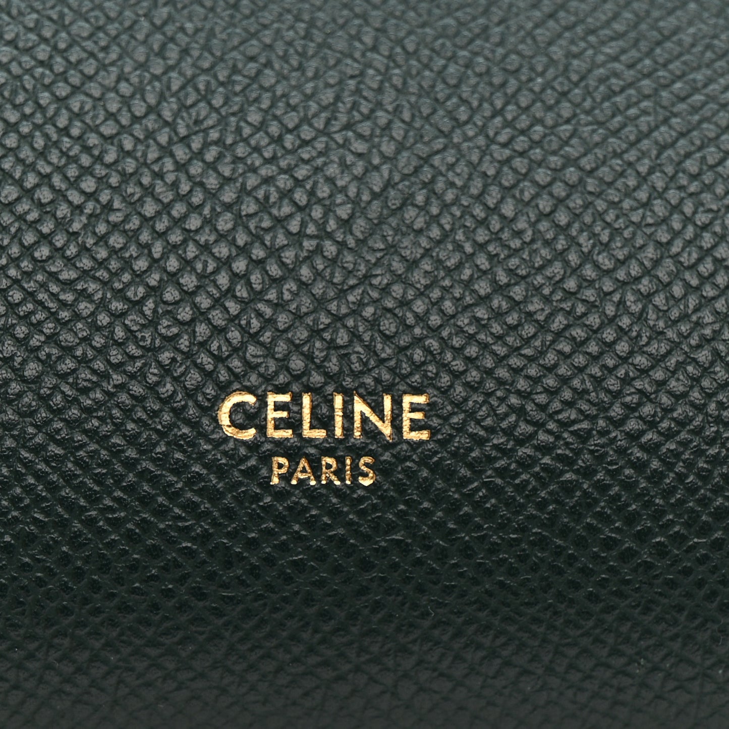 Grained Calfskin Mini Belt Bag Amazone