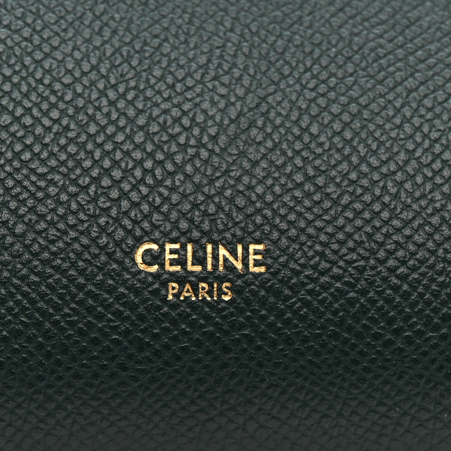 Celine Grained Calfskin Mini Belt Bag Amazone 6 of 13