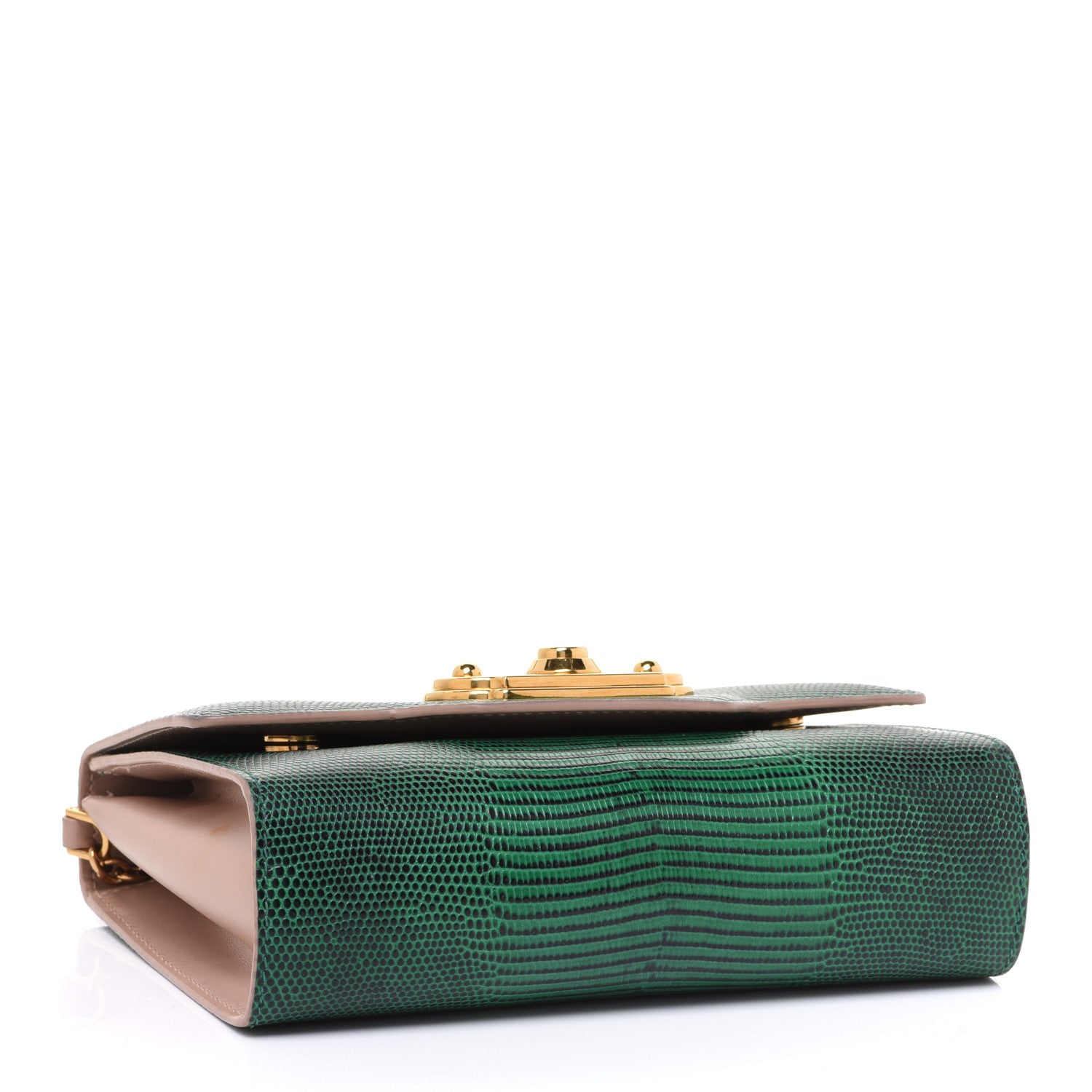 Dolce & Gabbana Iguana Calfskin Embossed Mini Welcome Crossbody Bag Green 4 of 10