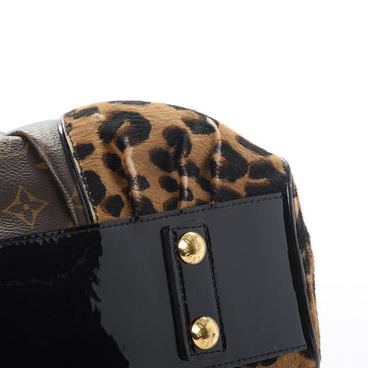 Louis Vuitton Monogram Leopard Adele 12 of 15