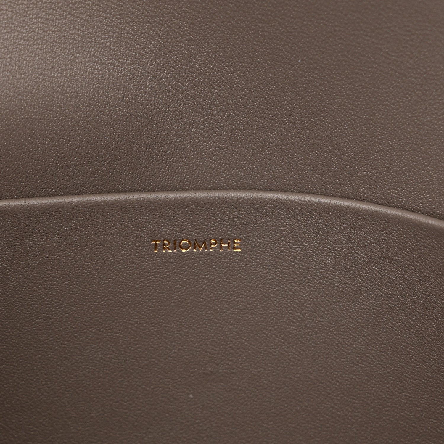 Celine Natural Calfskin Triomphe Shoulder Bag Pebble 6 of 10