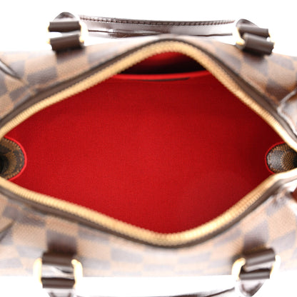 Louis Vuitton Damier Ebene Ribera Mini 5 of 11
