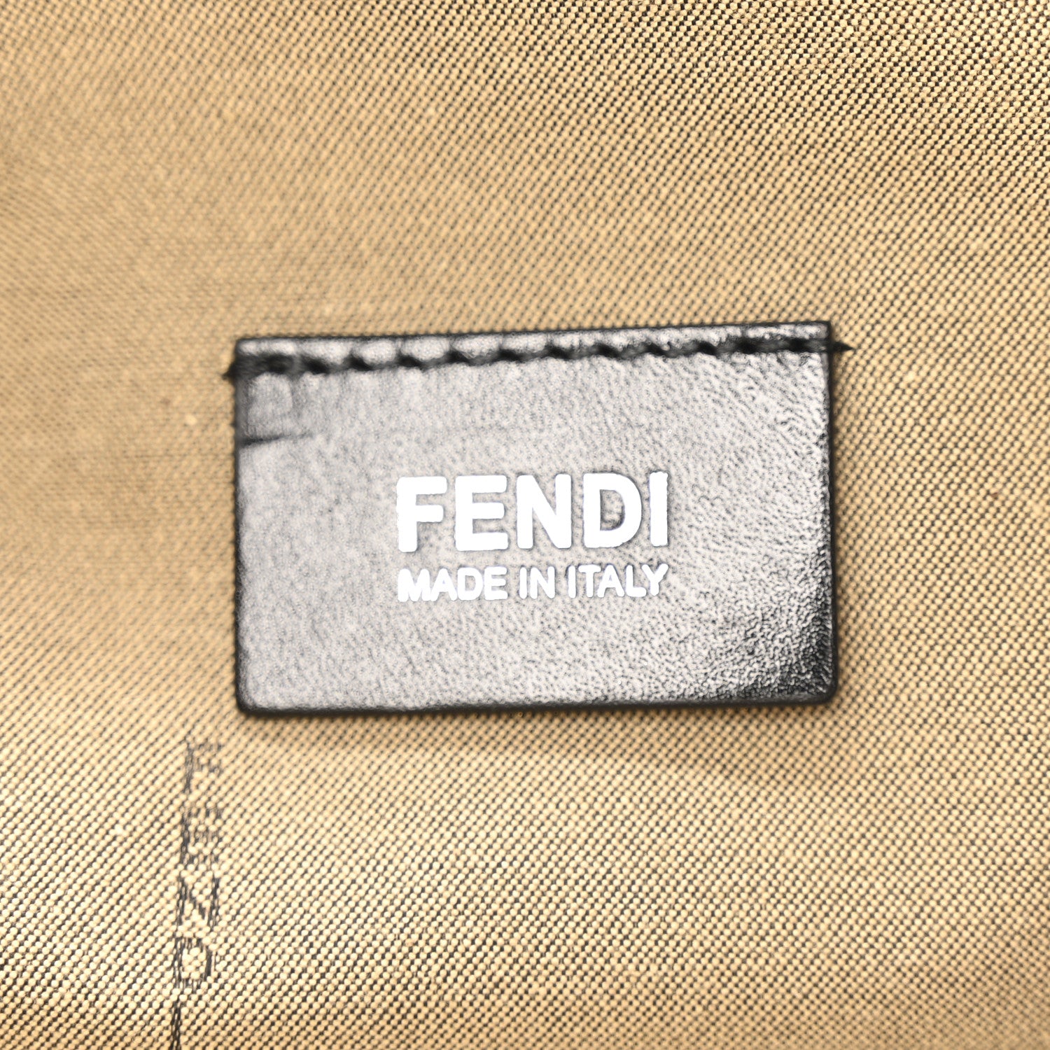 Fendi Canvas Federico Fellini Printed Flat Shopping Tote Grezzo Multicolor 6 of 11