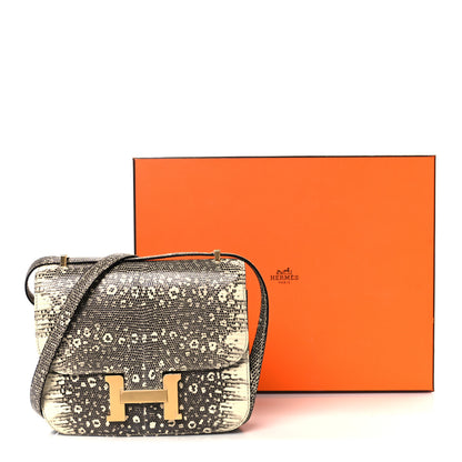 Hermes Lizard Constance 18 Ombre 12 of 12